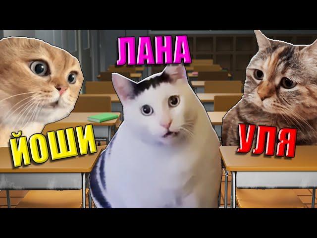 ВЫБИРАЕМ ЛУЧШЕГО МЕМНОГО КИСИКА! Roblox Cat Meme RP