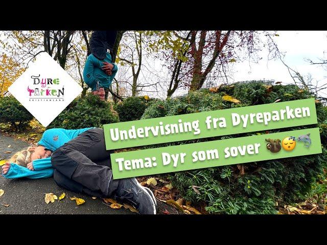 Undervisning fra Dyreparken: Dyr som sover 