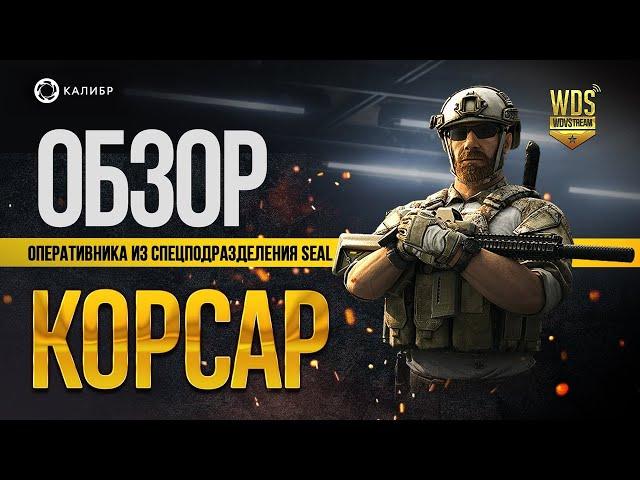 Калибр обзор штурмовика SEAL Корсар. #WDVStream .Обновление 0.4.0 #корсар #калибр