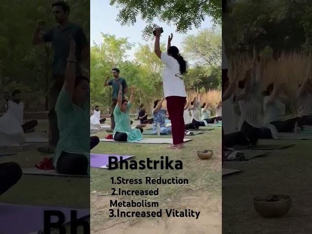 best yoga for stress #bhastrika #yoga#stressrelief#streesreliefmusic#anxiety#anxietyrelief#nature