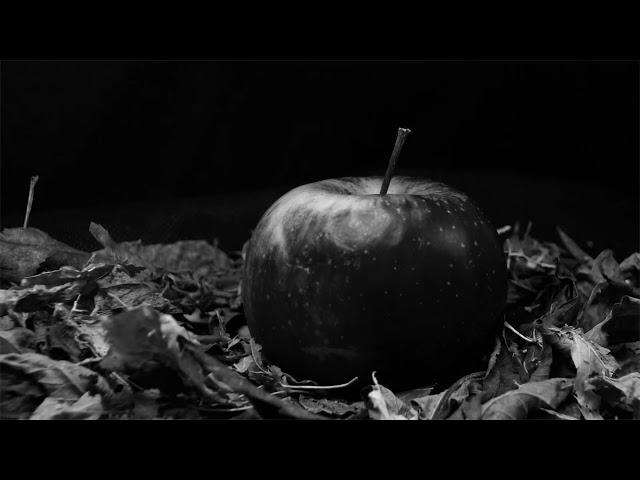 Alice In Chains - Rotten Apple (Slowed and Reverb)