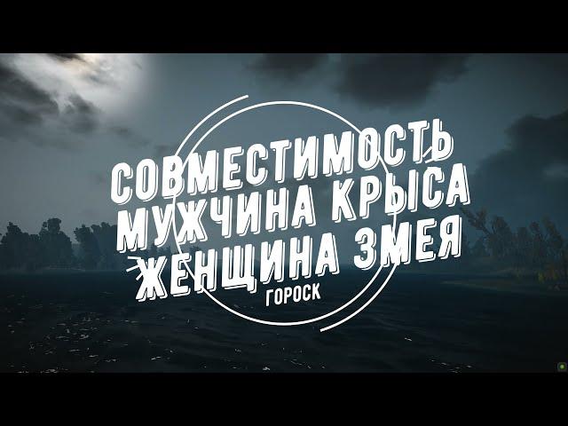 Совместимость мужчина Крыса и женщина Змея