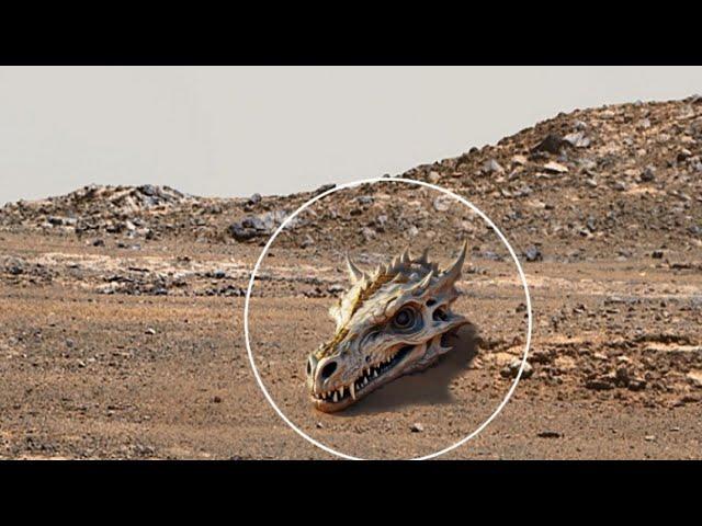 NASA Mars Rover Sends Most Shocking Footage of Mars Sol 1182! Perseverance & Curiosity' Mars In 4K