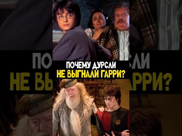 Почему Гарри Поттер жил у Дурслей? #гаррипоттер #harrypotter #теория #фильм #nikilangelo