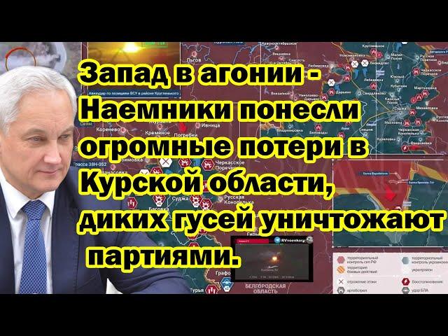 Запад в агонии - Наемники понесли огромные потери в Курской области, диких гусей уничтожают партиями