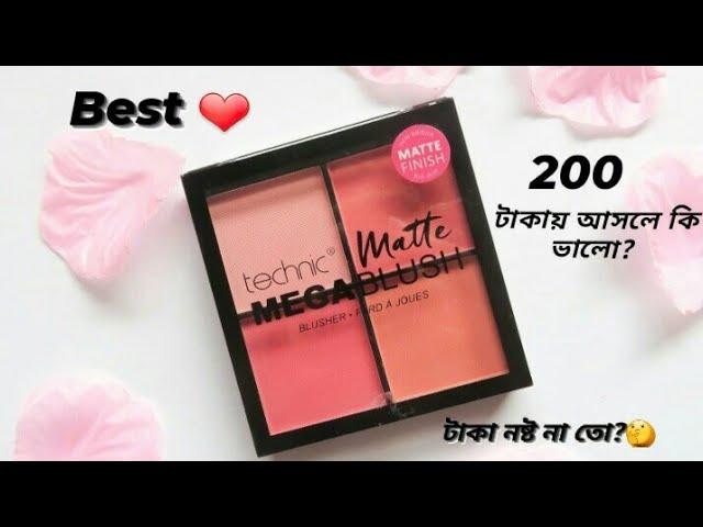 Technic Matte Mega Blush Palette Honest Review|Shajbo|