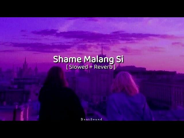 Shame Malang Si [ slowed + Reverb ] || Arijit singh || @beatsound6160