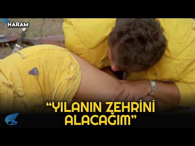 Haram Türk Filmi | Hülya'yı Yılan Isırıyor!