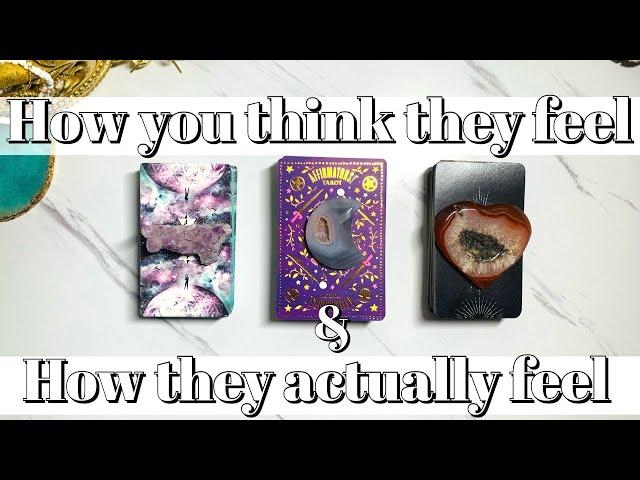 How You Think They FeelVS How They Actually Feelpick a card love tarot reading