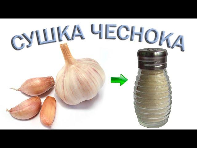 Сушка чеснока. Приготовление чесночного порошка