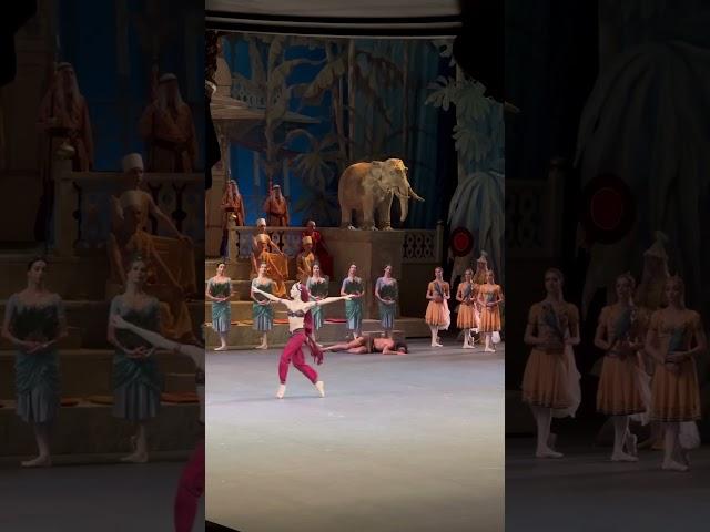 «Баядерка» Анна Никулина #bolshoiballet #dance #балет #russianballet