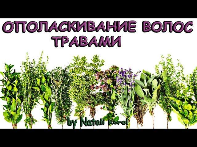 Ополаскивание волос/ Травы для волос/ Мои фавориты