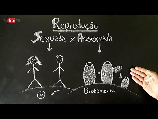 Reprodução SEXUADA e ASSEXUADA - Fecundação INTERNA e EXTERNA