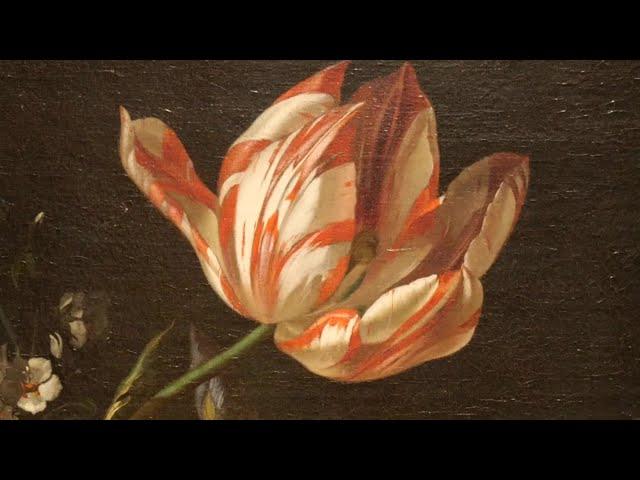 Dutch Art Deep Dive: The Significance of Tulips in Dutch Art