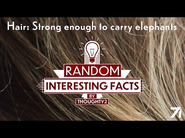 Hair: Strong enough to carry elephants | EP 3 RIF