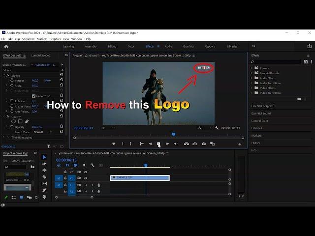 How to remove or blur logo from a video in 1 minute with adobe premiere pro #Shorts