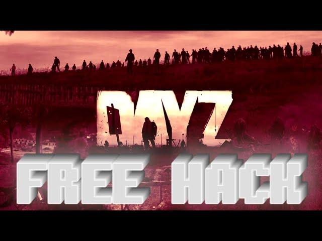  LEGIT HACKING IN DAYZ - THE BEST UNDETECTED LEGIT CHEAT! Free DL 