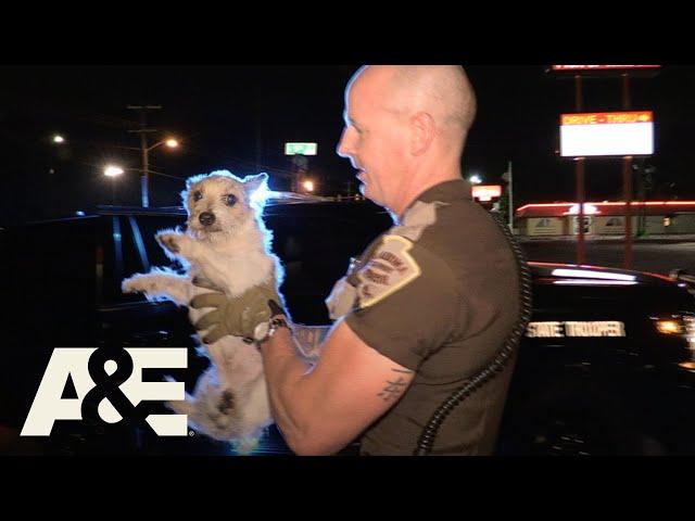 Live PD: Puppy Pals (Season 3) | A&E