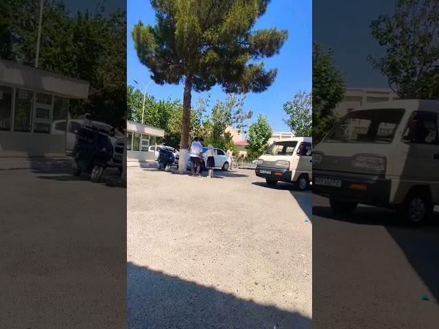 OBUNA BOLISH TEKIN SIZ UCHUN #uzbek #uzb #uzbekistan #toshkent #tezkunda #ташкент #shorts_video