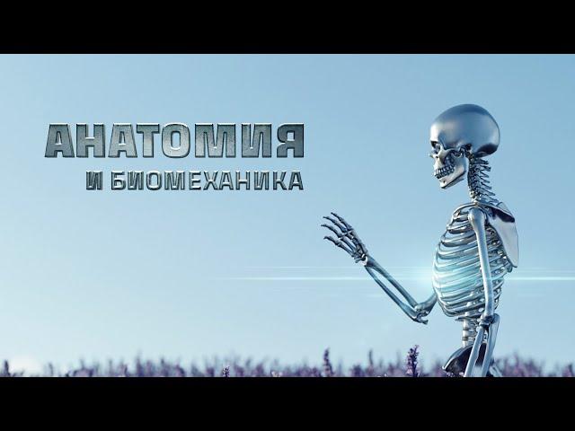 Анатомия и биомеханика. Основы, часть 1.