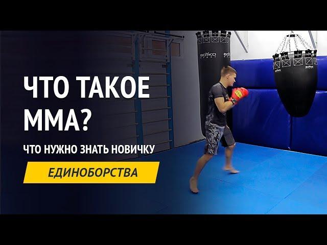 Что такое MMA? Все что нужно знать новичку о смешанных единоборствах