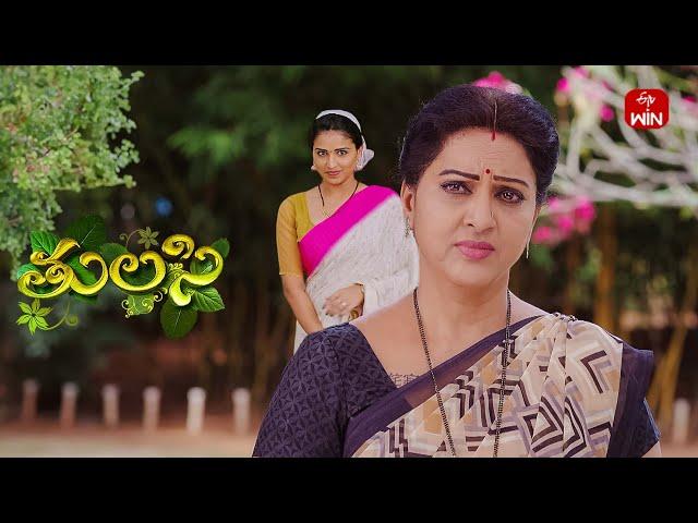 Thulasi | 4th November 2024 | Full Episode 257 | ETV Plus