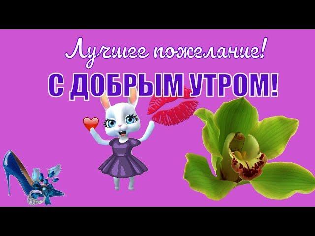 Новинка! Красивые видео пожелания с Добрым утром !