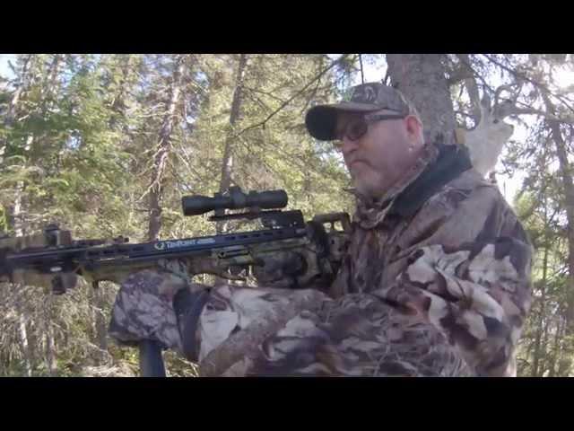 Ontario Bear Hunt with the TenPoint Stealth SS Crossbow | TenPoint Crossbows