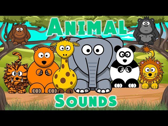 Zoo Animal Sounds | Animal Sounds Song | LittleKidsTV