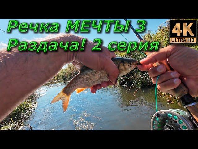 Нахлыст. Речка мечты. Осеняя раздача! 2 серия.