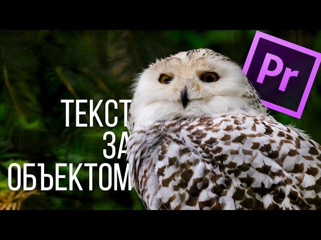 Текст ЗА объектом в Видео - без Масок и Хромокея / Premiere Pro урок