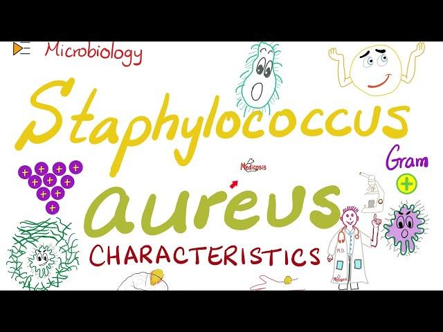 Staphylococcus aureus Characteristics | Microbiology  & Infectious Diseases 