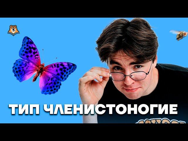 Тип Членистоногие | Биология ОГЭ 2023 | Умскул