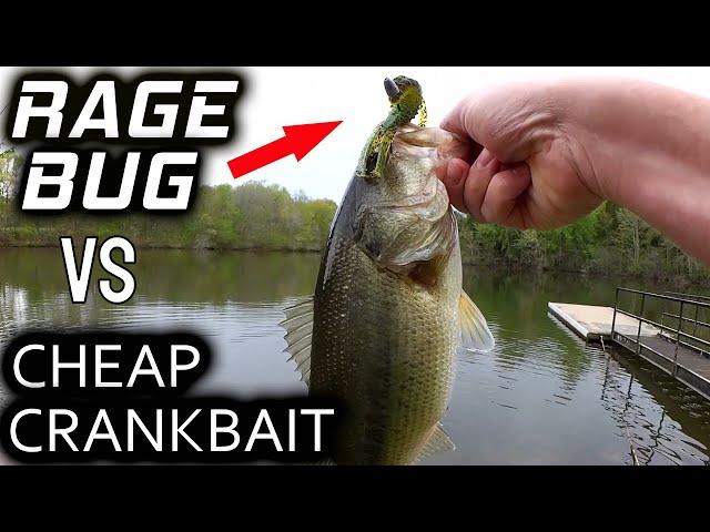 Rage Bug vs Cheap Crankbait! Spring Bass Fishing Lures Comparison