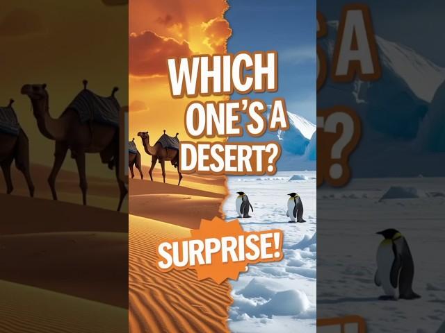 Is Antarctica REALLY a Desert