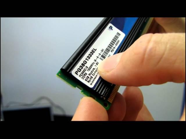 Patriot 8GB Single Module DDR3 Memory Unboxing & First Look Linus Tech Tips