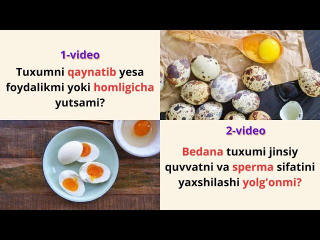 Tuxumni qaynatilgani foydalimi yoki homligicha yutishlikmi Bedana tuxim jinsiy quvvatni oshirmaydimi