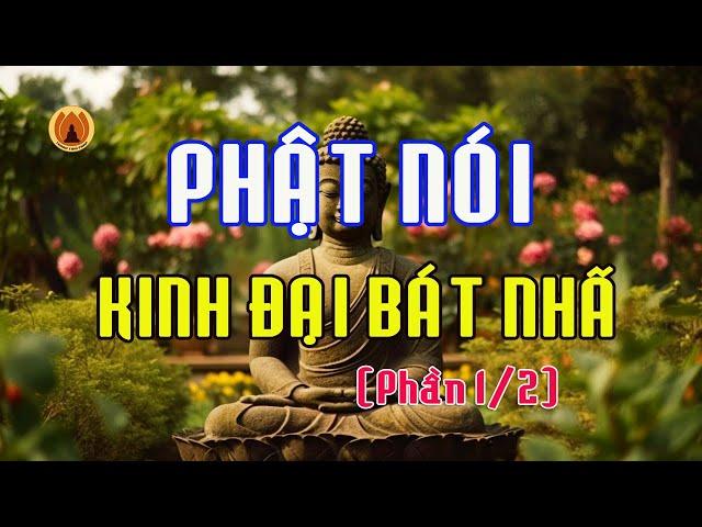 Phật Nói Kinh Đại Bát Nhã Ba La Mật Đa - Kinh Kim Cang (PHẦN 1/2)