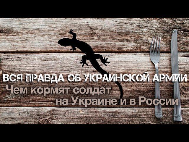 Андрей Ваджра. Вся правда об украинской армии: чем кормят солдат на Украине и в России (№ 21)