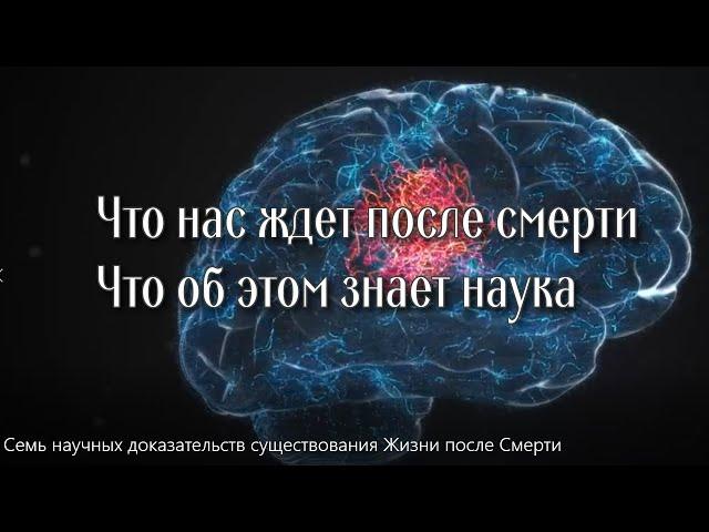 Семь научных доказательств существования Жизни после Смерти