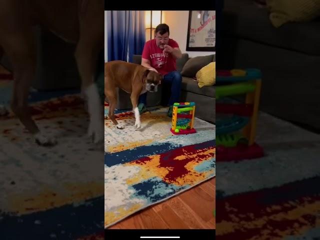 Brandon Boost Bites