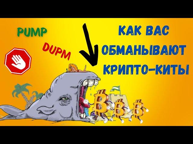 Вас обманывают мошенники Pump & Dump на рынке криптовалют