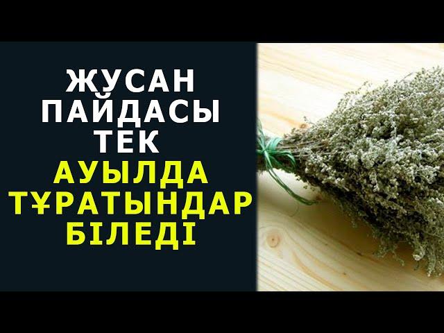 ЖУСАННЫҢ ҚҰПИЯСЫ АШЫЛДЫ, енді Жусан пайдасын бәрі біледі, Керек арнасы