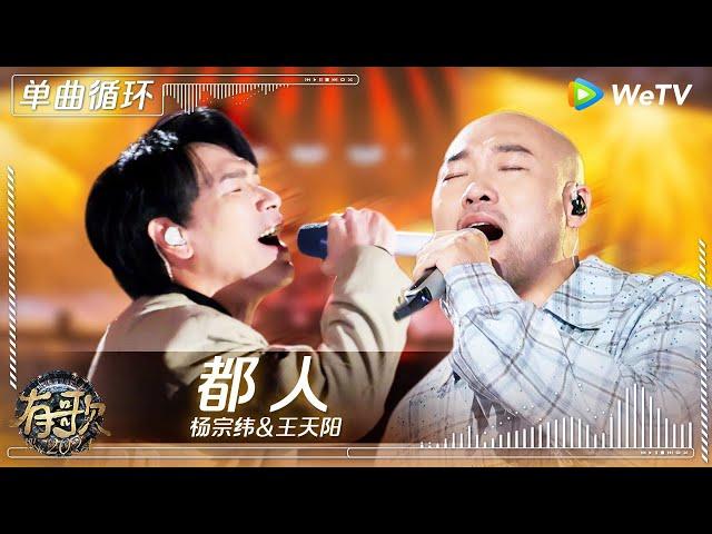 【1小时单曲循环】杨宗纬&王天阳《都人》| #有歌2024 EP9 #hitsong2024 | WeTV综艺音乐