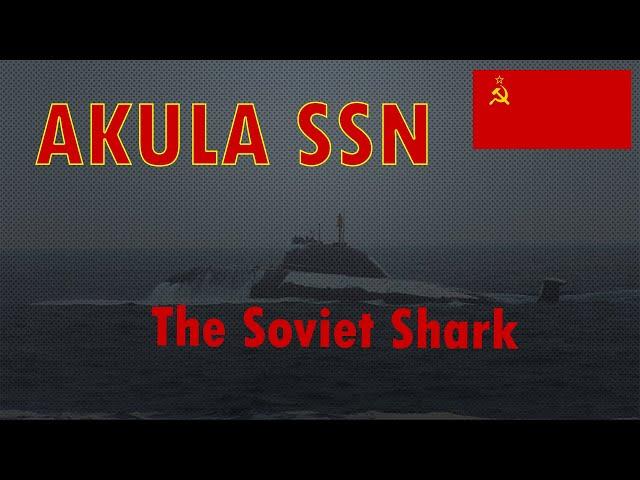 Akula SSN Sub Brief