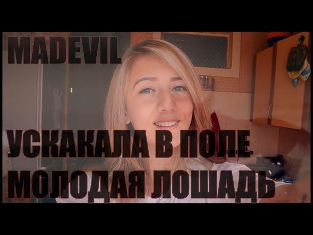 MADEVIL - Ускакала в поле молодая лошадь |MMV #73