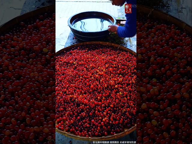 Wine from grapes - making process #wine #brewing #grape #homemade #chinesefood #cooking #foryou