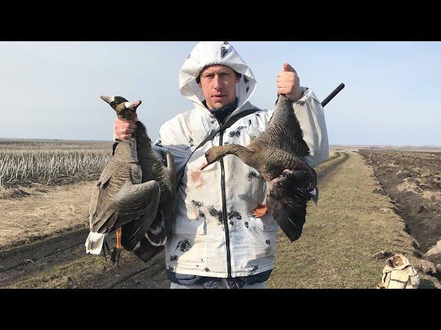 Охота на Гуся ПОДГОТОВКА Заряжаю патроны МагНум goose hunting