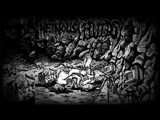 Fluids - "Capped" (HPGD Productions)