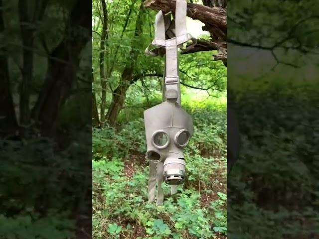 треш... Чернобыль сейчас...